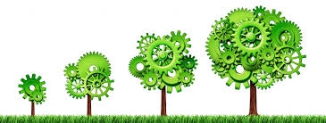 growth review